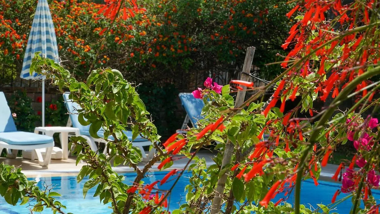 פאטהיה Villa Yavuz טורקיה